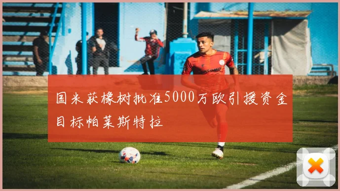 国米获橡树批准5000万欧引援资金目标帕莱斯特拉