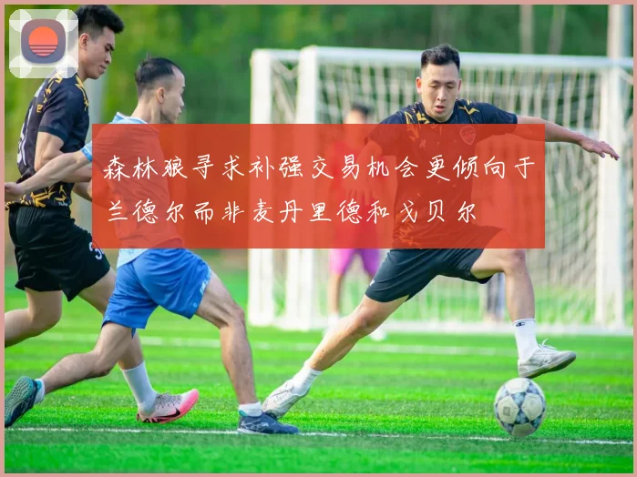 森林狼寻求补强交易机会更倾向于兰德尔而非麦丹里德和戈贝尔